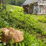 Apartment Forest House