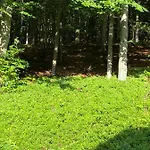 Forest House * Targanice