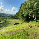 דירה Forest House