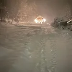 Forest House *