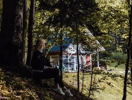 Forest House