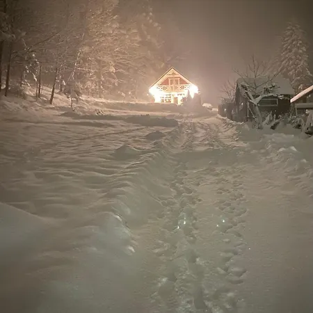 Forest House *