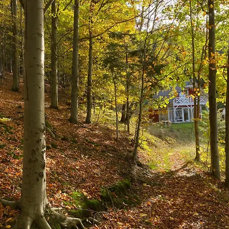 Forest House *