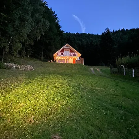Forest House Apartman *