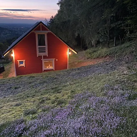 Forest House *