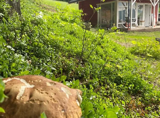 Appartement Forest House