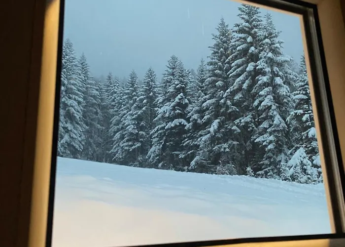 Appartement Forest House Targanice