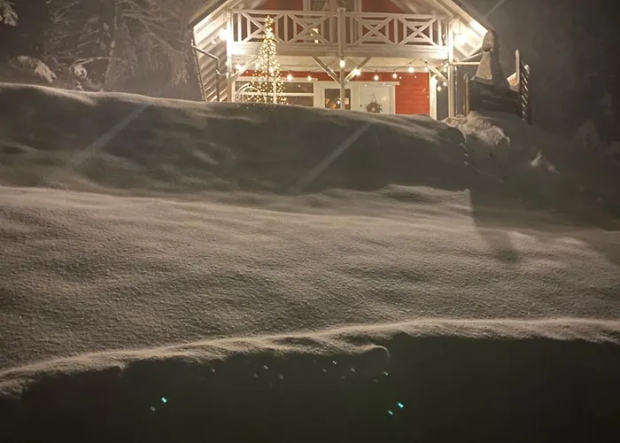 Forest House Appartement