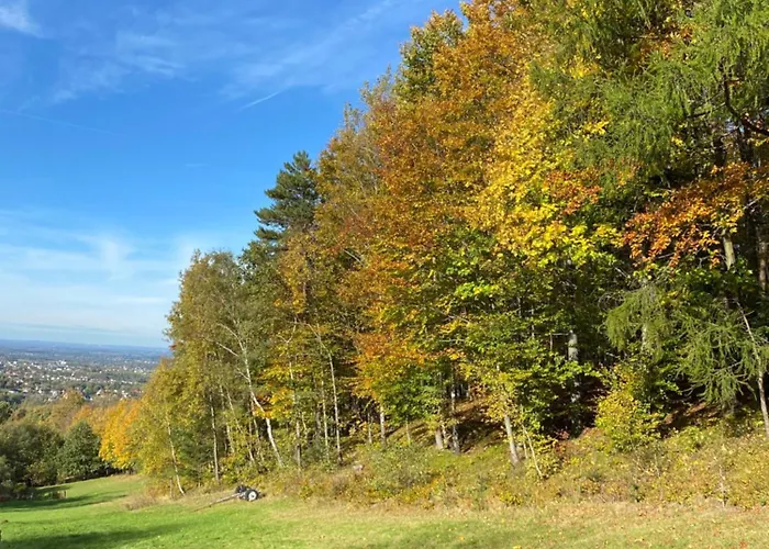 Forest House * Targanice